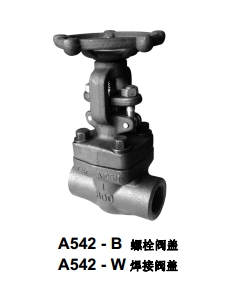 美国泰勒锻钢闸阀A542-B